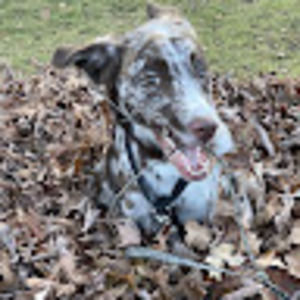 Meet your Posher, Lee